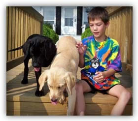 Matthew And The Pets