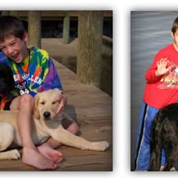 Matthew And The Pets