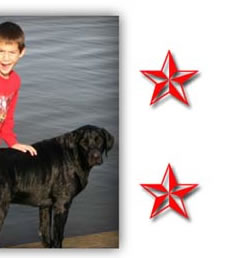 Matthew And The Pets