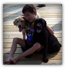 Matthew And The Pets