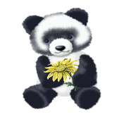 Panda Bear